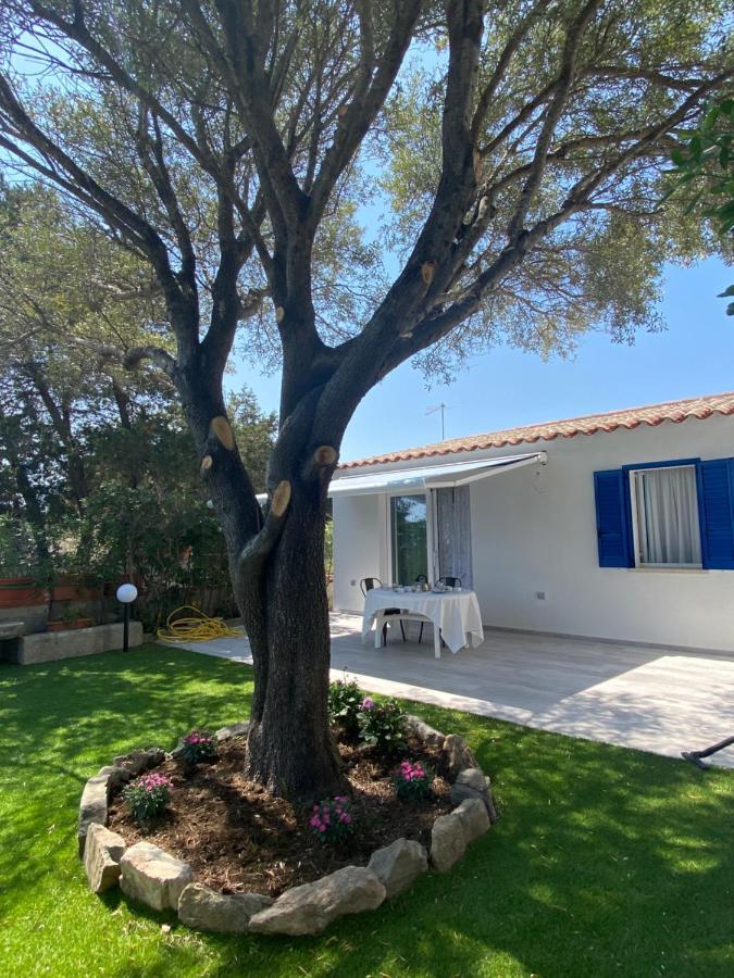הוילה אולביה La Casa Sull'Acqua מראה חיצוני תמונה